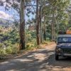 Mit dem Land Rover durch die Usambara Berge in Tansania